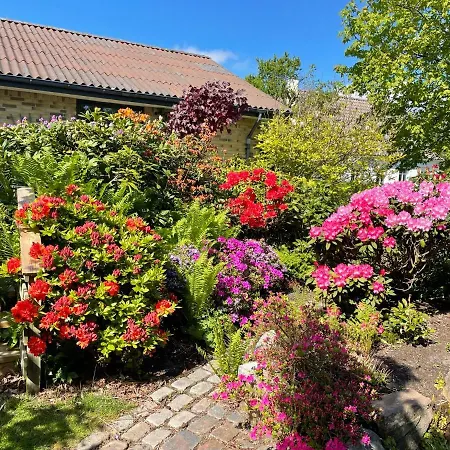 Feriehus-gammel Byvej, Vrensted