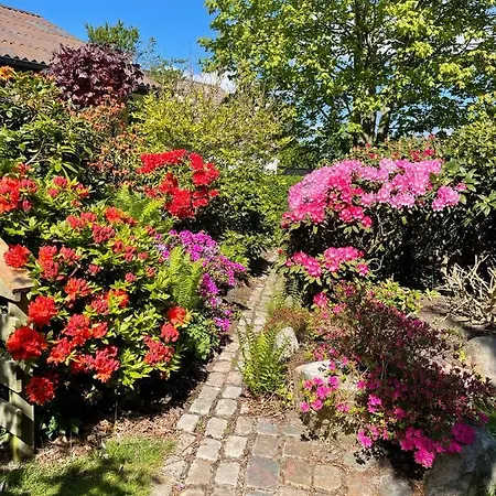 Feriehus-gammel Byvej, Vrensted *