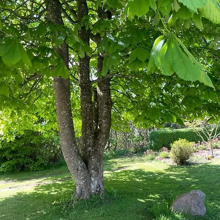 Holiday home Feriehus-gammel Byvej, Vrensted Lokken